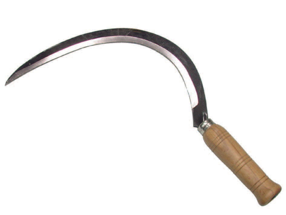 FALCIOLA LISCIA  n°1