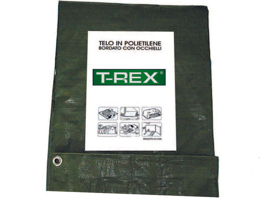 TELO OCCHIELLATO BORDATO CON ANGOLI RINFORZATI 100 GR. NORMALE  mt.6x8  gr.100 al mq.  colore verde/blu    TREX
