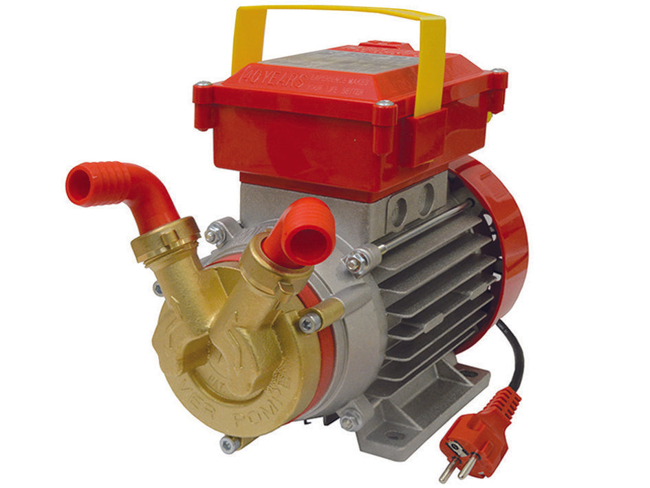 ELETTROPOMPA IN BRONZO BISENSO DA TRAVASO ROVER 20 CE    ROVER