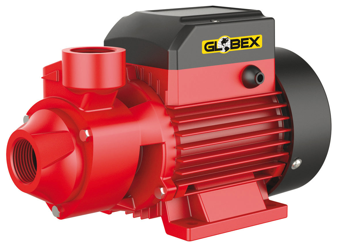 Globex ELETTROPOMPA DI SUPERFICIE GX 370 PP 370 W Hp 0,5
