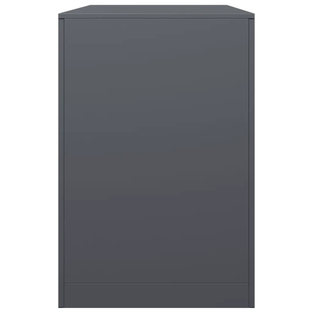 Rastrelliera per Legna da Ardere Antracite 100x40x60 cm Acciaio