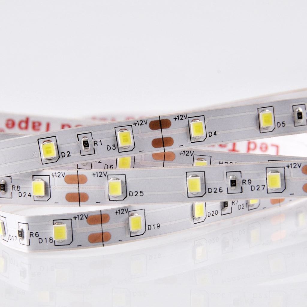Striscia LED 12V 5m IP20 6500K 10W 1100lm 300LED Polux