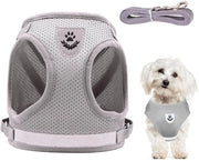 Custodia per Animali da Compagnia - Adattabile - Cinturino/Lacci - Riflettente - Tessuto a Maglia Sottile - Esterno - 120 cm Lunghezza - Cinturino per Animali da Compagnia