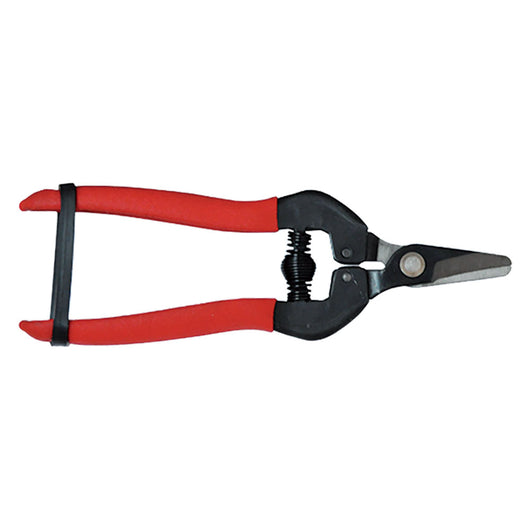 FORBICI COGLIUVA cm 16 - pz. 1  - Blister Koncreto