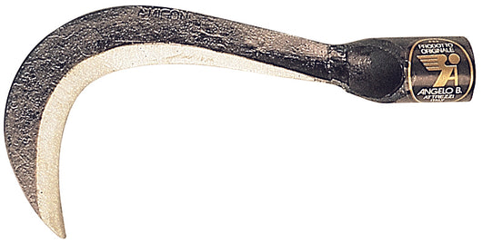 Angelo B. RONCOLINO PER FUNGHI cm. 12