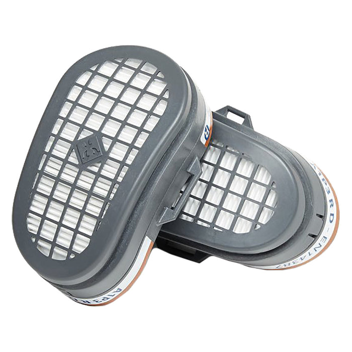 FILTRI 'ELIPSE' A1-P3 A1-P3 - per gas, vapori  - GVS