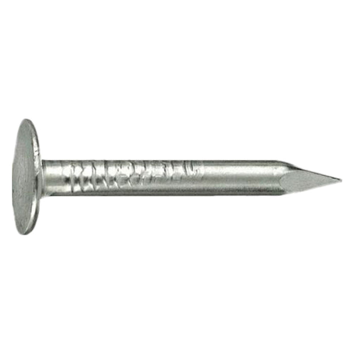 CHIODI TESTA PIANA LARGHISSIMA TPLL 17 x  25- 5 kg  - CAVATORTA