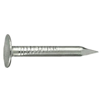 CHIODI TESTA PIANA LARGHISSIMA TPLL 17 x  30- 5 kg  - CAVATORTA