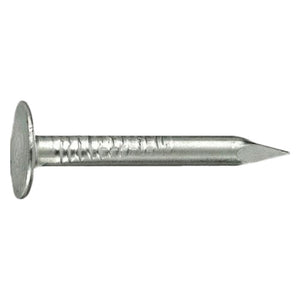 CHIODI TESTA PIANA LARGHISSIMA TPLL 17 x  30- 5 kg  - CAVATORTA