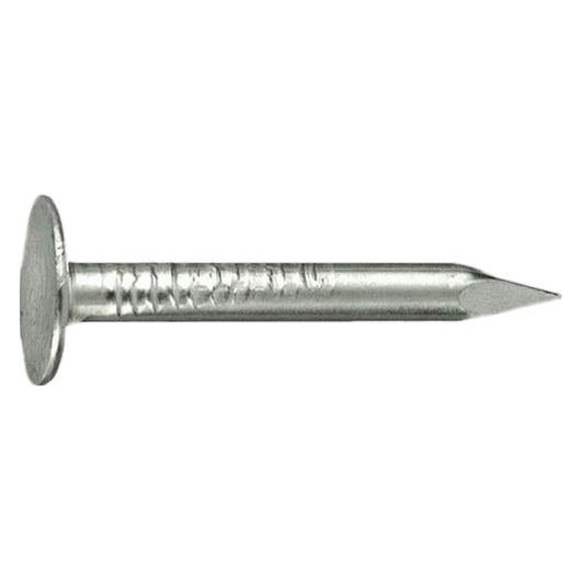 CHIODI TESTA PIANA LARGHISSIMA TPLL 17 x  30- 5 kg  - CAVATORTA