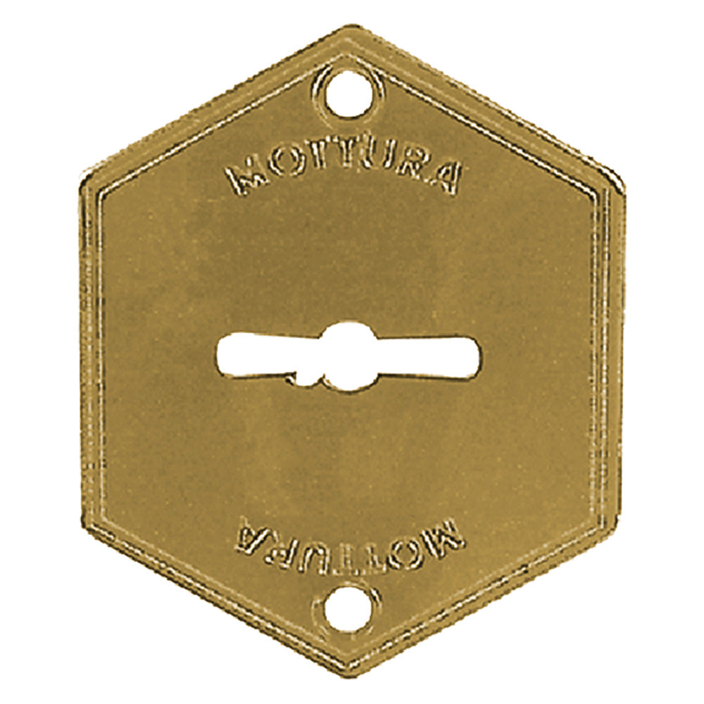 MOSTRINA ESTERNA ART.95223 finitura ottonata  - MOTTURA