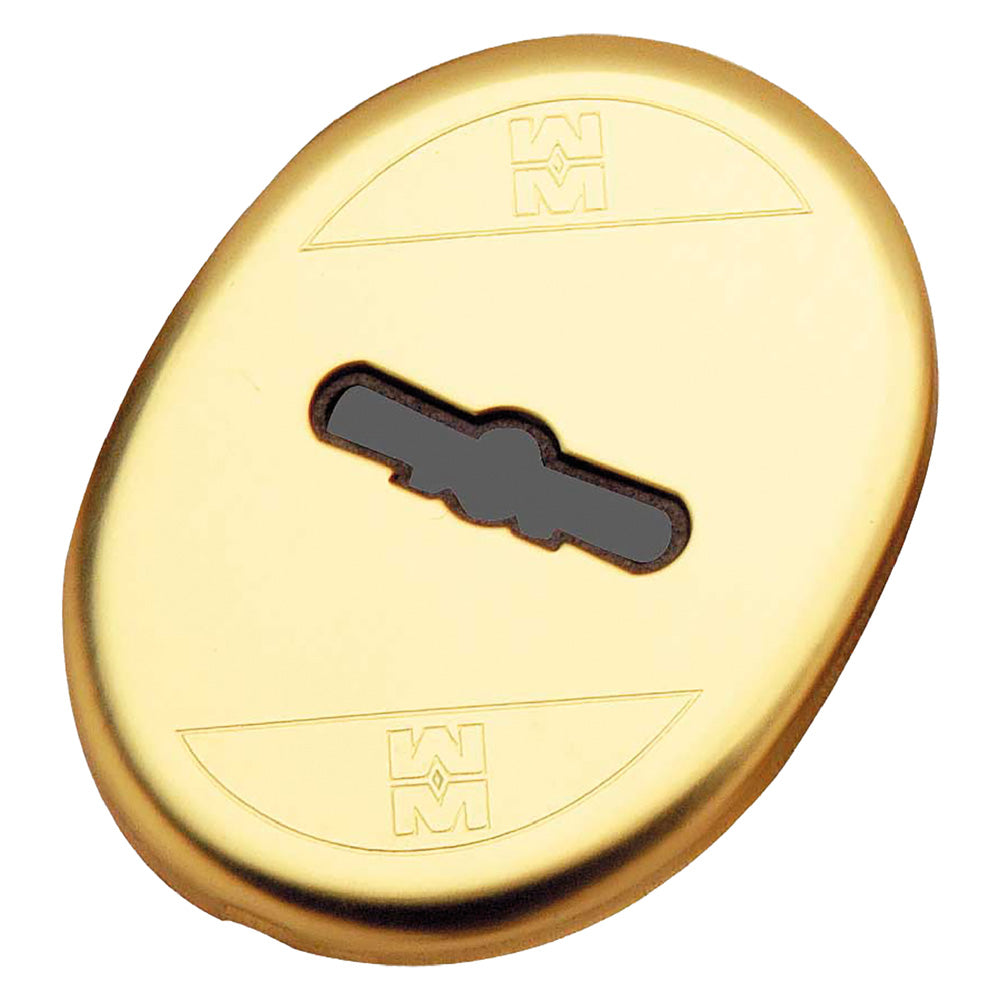 MOSTRINA INTERNA ART.95324 finitura ottonata  - MOTTURA