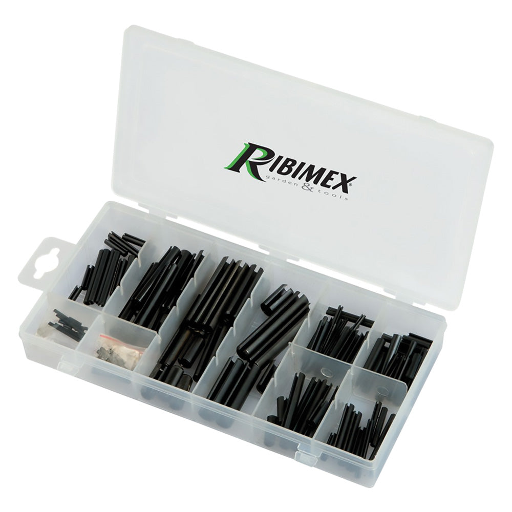 SPINE ELASTICHE 120 pezzi assortiti  - RIBIMEX