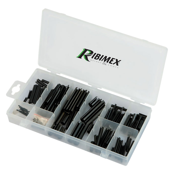 SPINE ELASTICHE 120 pezzi assortiti  - RIBIMEX