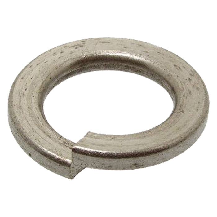 RONDELLA ELASTICA GROWER M 8 - 10 centinaio