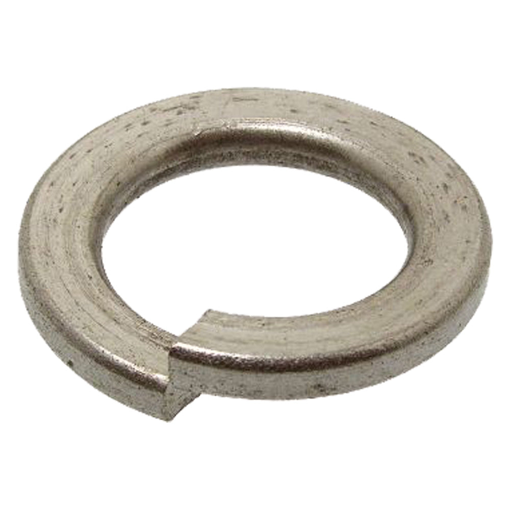 RONDELLA ELASTICA GROWER M 20 - 1.5 centinaio