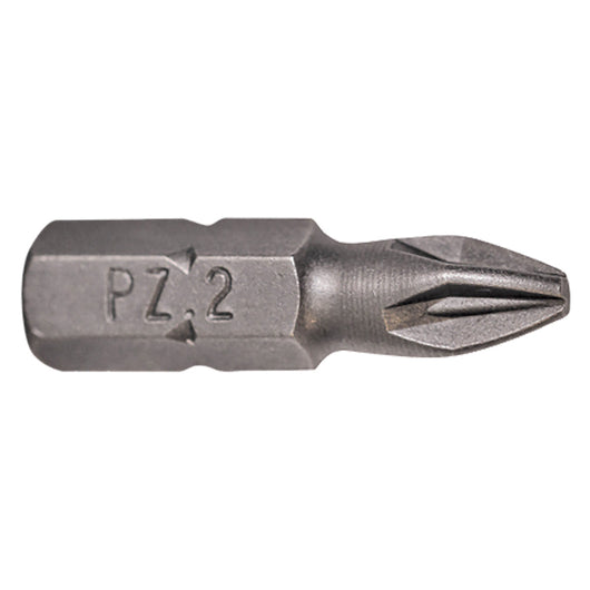 INSERTI PER VITI IMPRONTA POZIDRIV PZ 1 x 100 mm - cf.1 pz  - ECEF