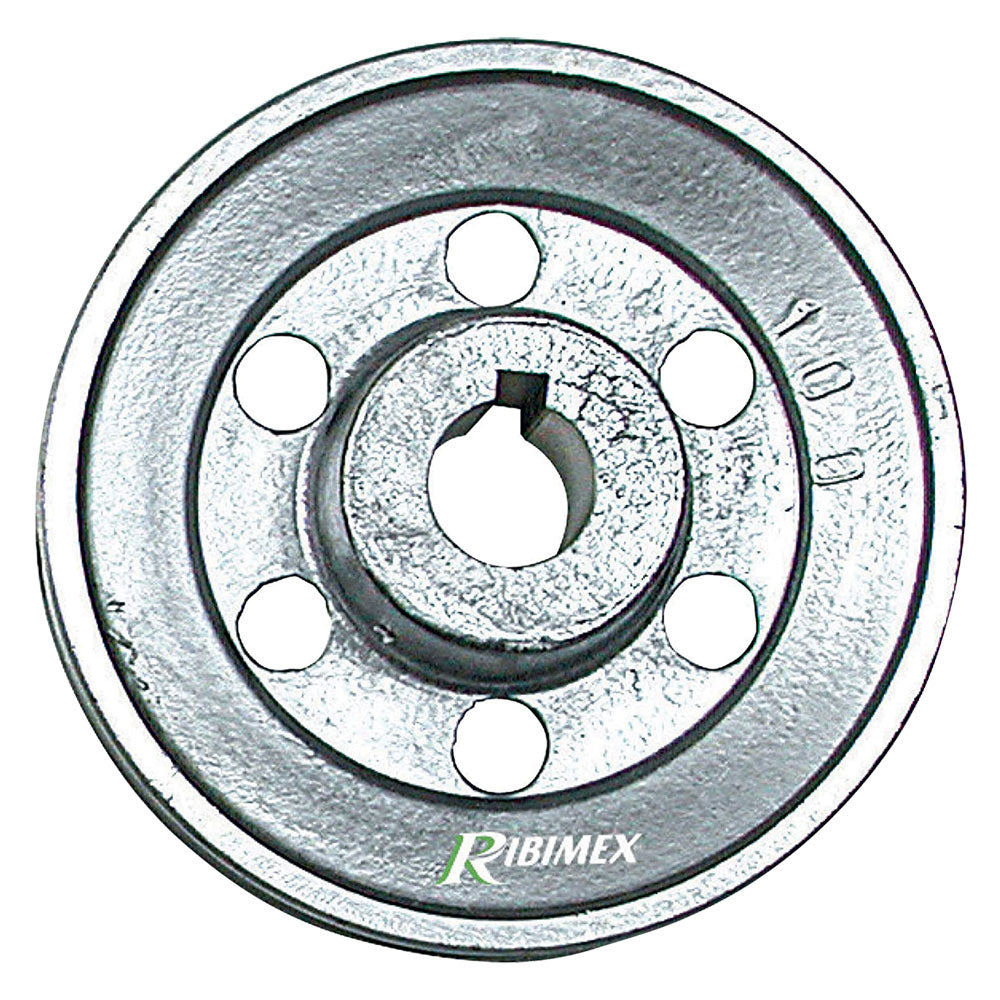 PULEGGIA PER MOTORE 1 gola - Ø 100 - asse 19 mm  - RIBIMEX