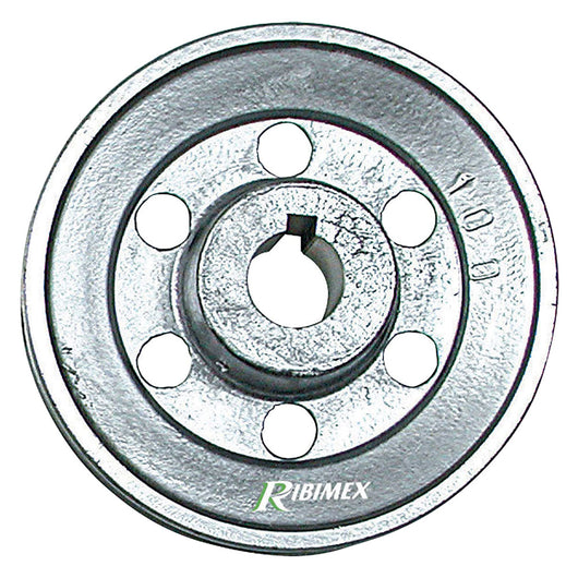 PULEGGIA PER MOTORE 1 gola - Ø 100 - asse 19 mm  - RIBIMEX