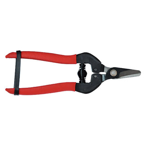 FORBICI COGLIUVA cm 16  - LIF