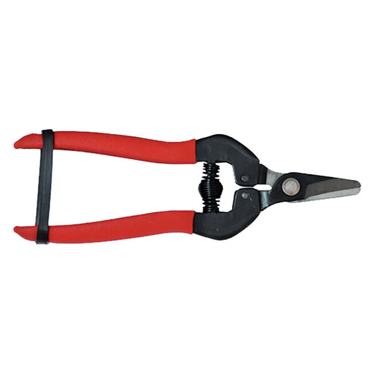 FORBICI COGLIUVA cm 16  - LIF