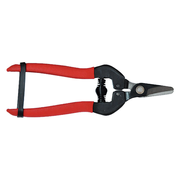 FORBICI COGLIUVA cm 16  - LIF