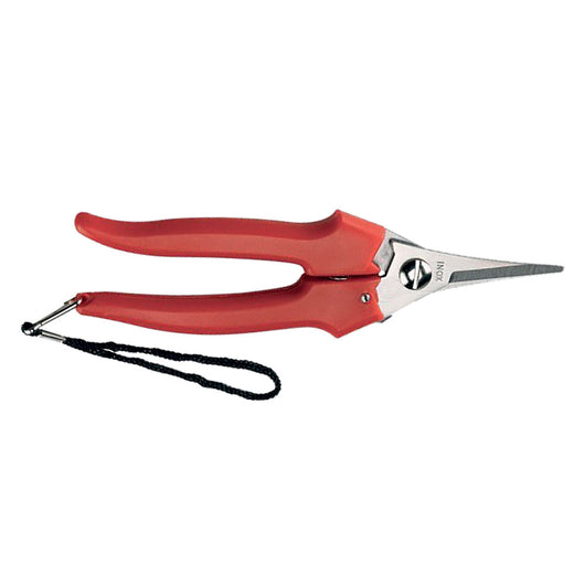 FORBICI COGLIUVA 'LAME STRETTE' art. 31329 - cm 19- 6 pezzi  - AUSONIA