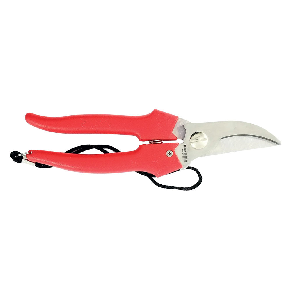 FORBICI COGLIUVA art. 35031 - cm 19  - AUSONIA