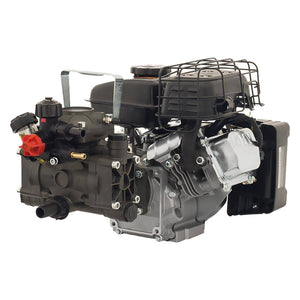 MOTOPOMPA IRRORATRICE 'AR 202' Hp 2,5  - ANNOVI REVERBERI