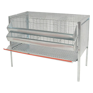GABBIA GALLINE OVAIOLE TRE CELLE cm 107 x 50 x H 80  - MG GABBIE