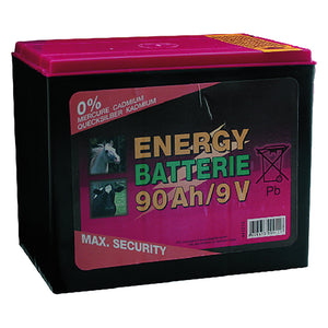 BATTERIA A SECCO 90 Ah  - ALBERT KERBL