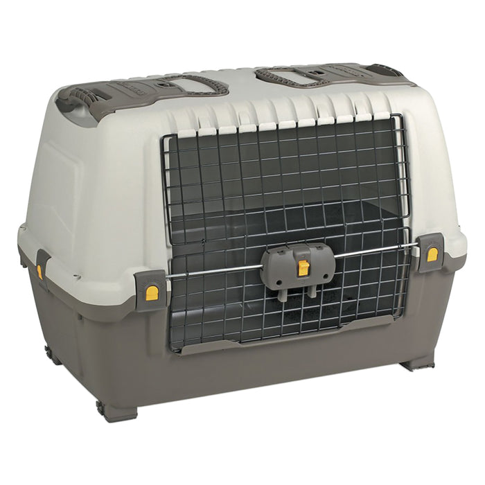 TRASPORTINO cm 100 x 60 x H 65 PT3  - ARTPLAST