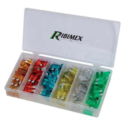ASSORTIMENTO FUSIBILI 120 pezzi  - RIBIMEX