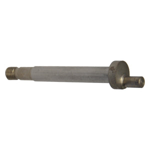 PIGNONE per tosatrice elettrica  - LIF