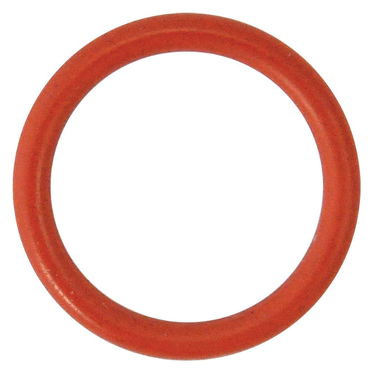 GUARNIZIONE O-RING PER PERNO per N 3 - mm 18,72 x  2,62  - REBER