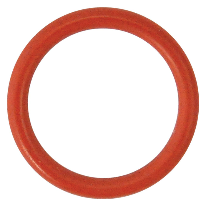 GUARNIZIONE O-RING PER PERNO per N 3 - mm 18,72 x  2,62  - REBER