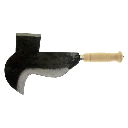 PENNATO 'FROSINONE' cm 22  - LIF