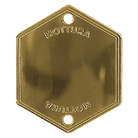 MOSTRINA COPRIFORO ART.95146 finitura argento  - MOTTURA