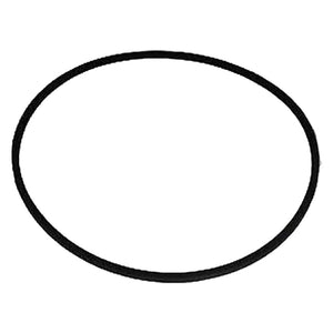 CINGHIA per Oscar' - 'Fanny 3'  - LIF