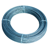 FILO FERRO ZINCATO N. 17 mm 3,0- 25 kg  - CAVATORTA