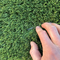 Rotolo prato sintetico erbabella larghezza 2 mt altezza fili 25 mm + 40 picchetti