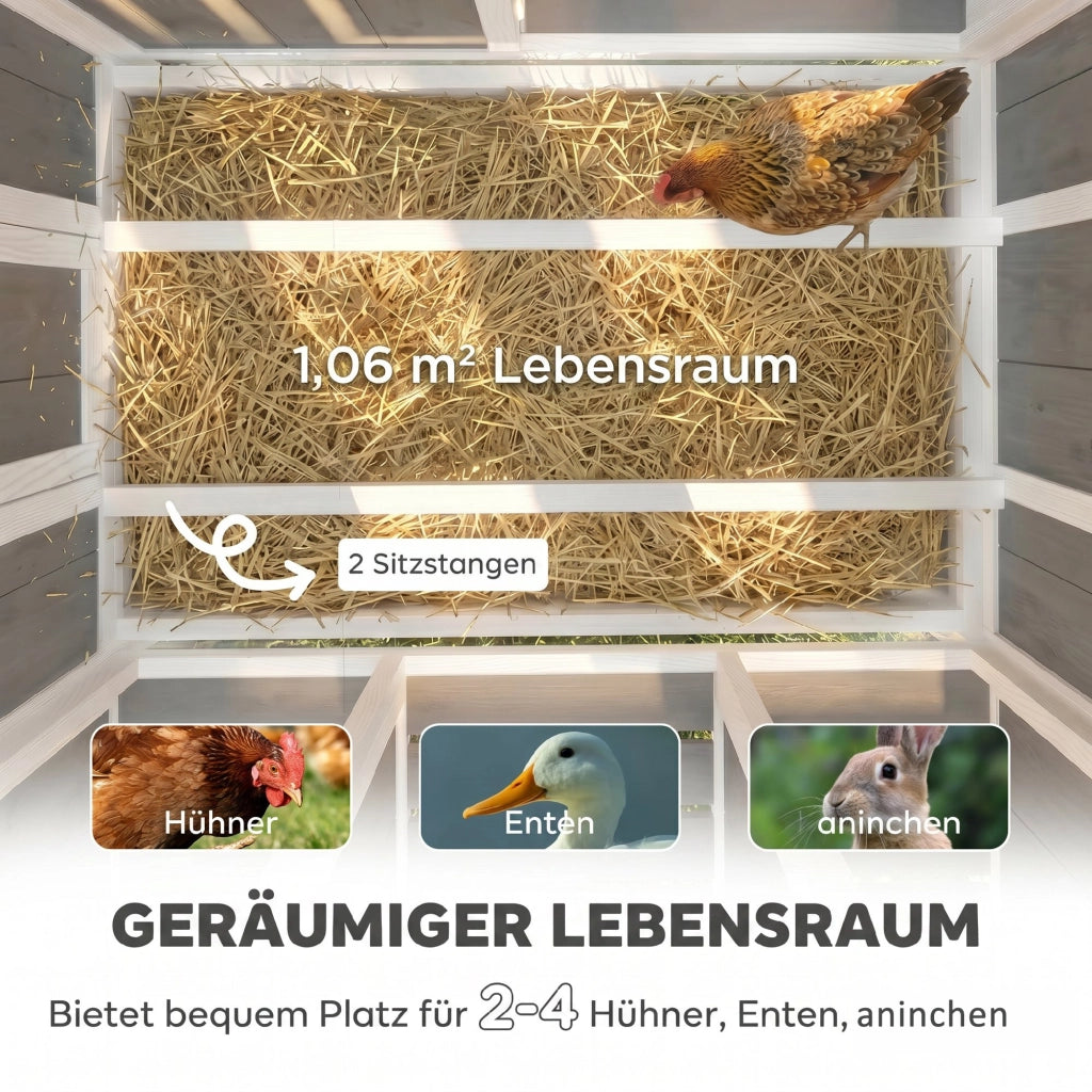 Pollaietto in legno per 3-4 galline con tetto in PET ¨C Minimal ¨C 145x90x92 cm grigio