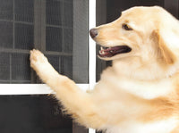 Phifer ZANZARIERA A ROTOLO IN POLIESTERE/PVC PETSCREEN MT.30,5 col.Grigio maglia mm17x10 H.cm.121,92