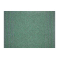 PASSATOIA PASSAT H 67 CM VERDE- ALMA- 30,0 ml