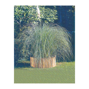 BORDURA IN PINO IMPREGNATO ROTOLO 200XH30 CM- WELLTON SP.ZO.O.- 1,0 pz