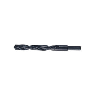 PUNTE HSS CODOLO 13 MM D 19,0 MM- 1,0 pz
