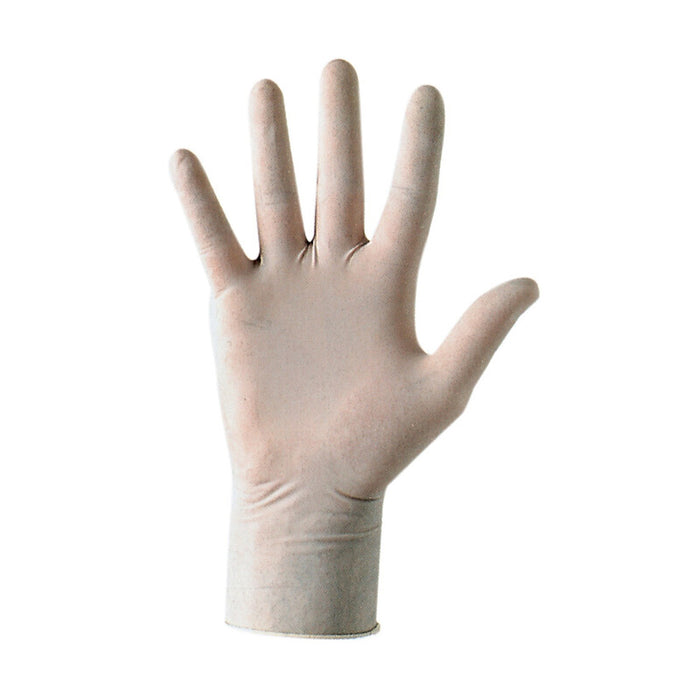 GUANTI IN LATTICE STANDARD CAT. I TG.  L 100 PZ- BERTOZZI- 1,0 confezione