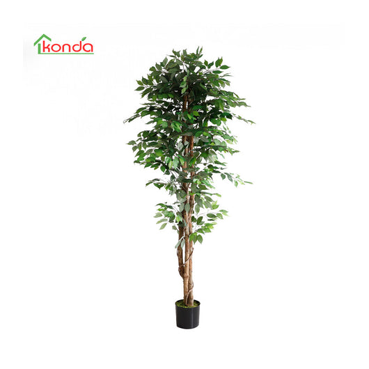 C PIANTA FICUS ARTIFICIALE 210 CM- 2,0 pz