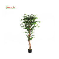 C PIANTA FICUS ARTIFICIALE 180 CM- 2,0 pz