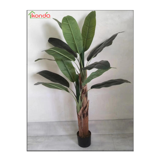 C PIANTA BANANA ARTIFICIALE 165 CM- 4,0 pz